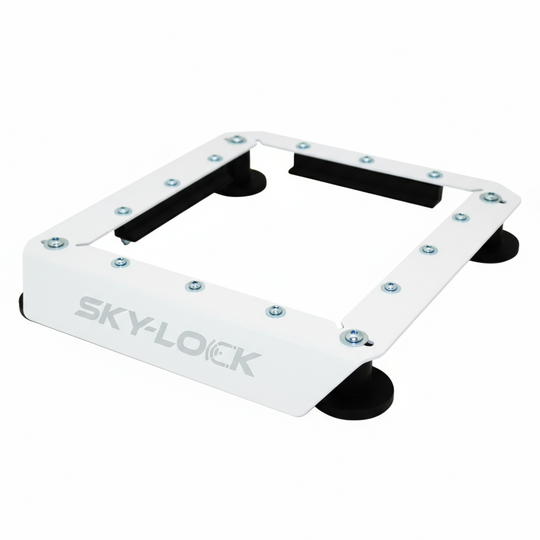 The "All-in-one Kit" - Starlink Mini + Magnetic Mount + Inverter